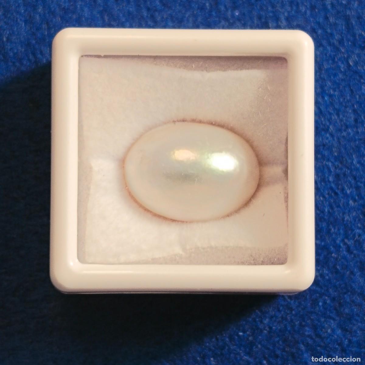 Collectionnisme de gemmes: PERLA MABE O JAPONESA NATURAL 15,5 X 11,5 MM. PESO. 7,59 CTS