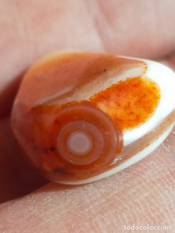 Coleccionismo de gemas: Bella Corniola con cerchi concentrici - Foto 2