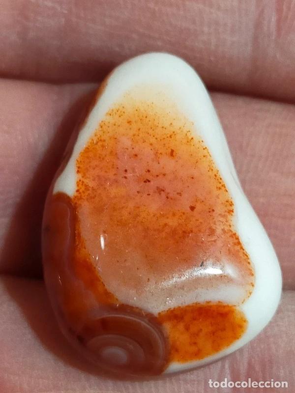 Coleccionismo de gemas: Bella Corniola con cerchi concentrici - Foto 3