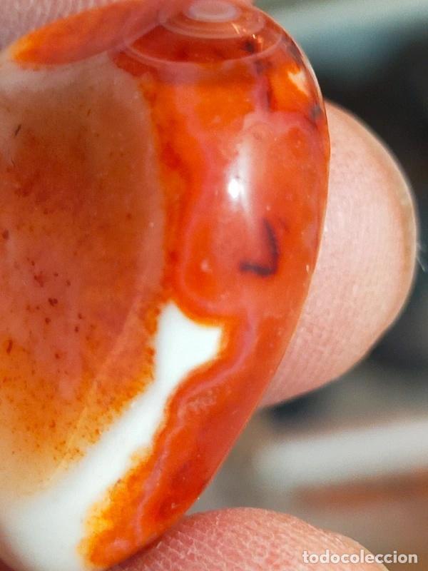 Coleccionismo de gemas: Bella Corniola con cerchi concentrici - Foto 4