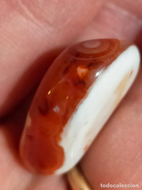 Coleccionismo de gemas: Bella Corniola con cerchi concentrici - Foto 6