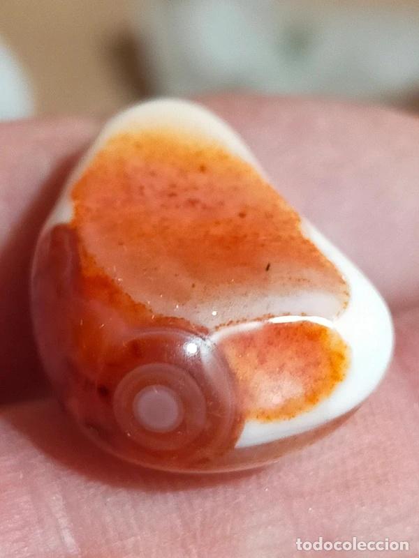 Coleccionismo de gemas: Bella Corniola con cerchi concentrici - Foto 1