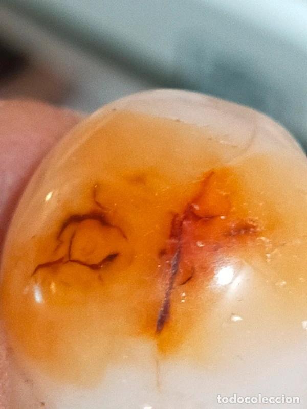 Coleccionismo de gemas: Corniola con particolari inclusioni naturali - Foto 3