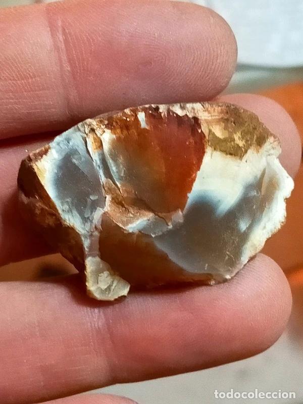Coleccionismo de gemas: Corniola grezza del Brasile con sfumature multicolori naturali