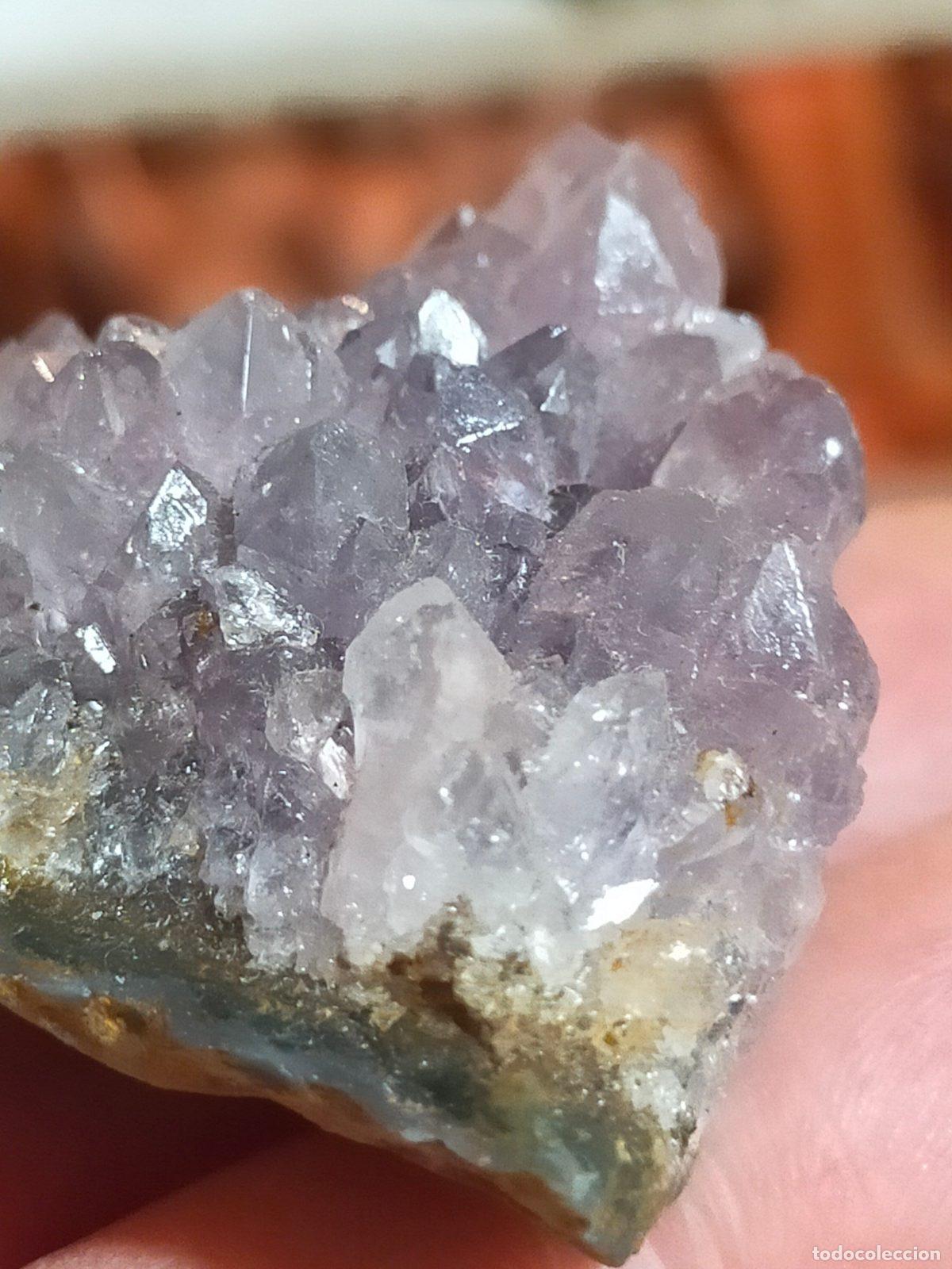 Gem collecting: Piccola Ametista in drusetta