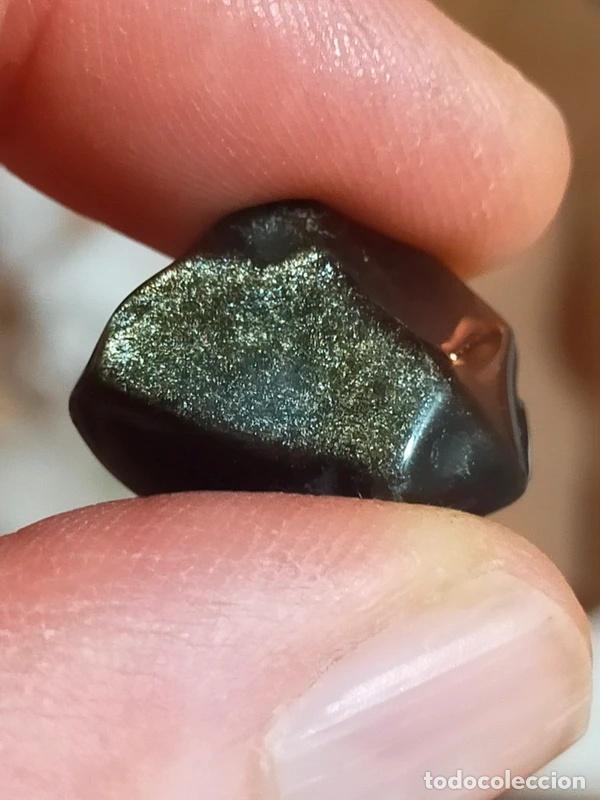 Gem collecting: Ossidiana Nera dorata (semi grezza)