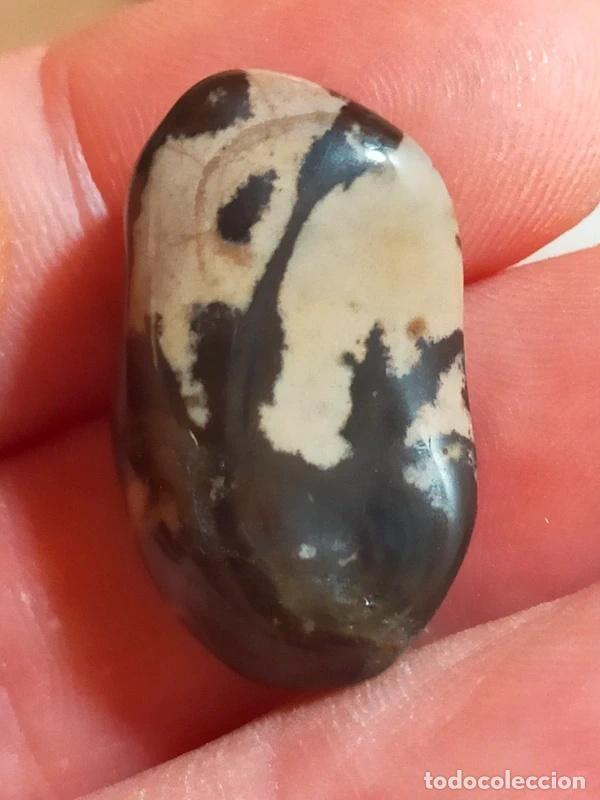 Gem collecting: Diaspro Cappuccino Brasiliano Pietra Naturale da Collezione
