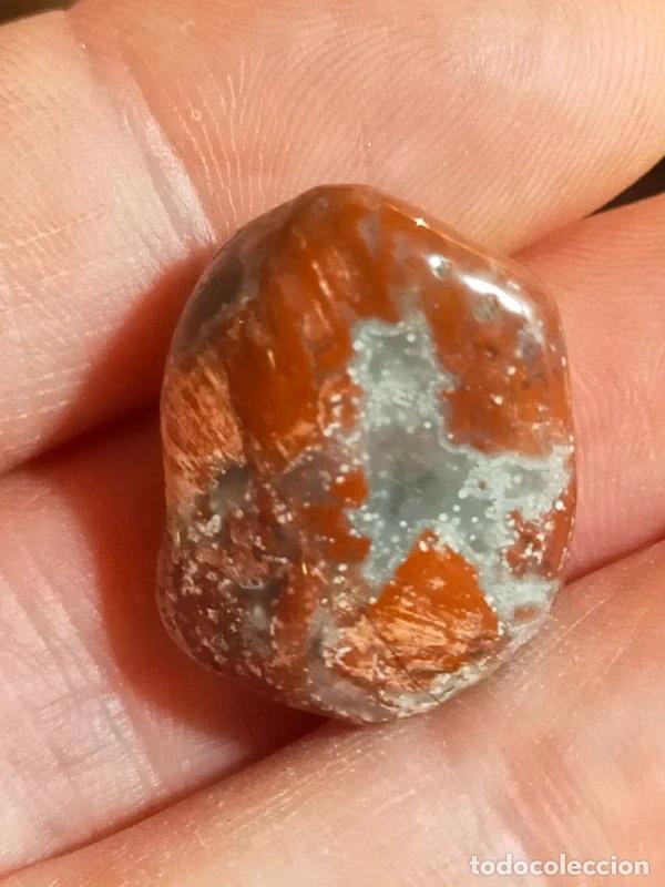 Gem collecting: Diaspro rosso burattato con belle sfumature