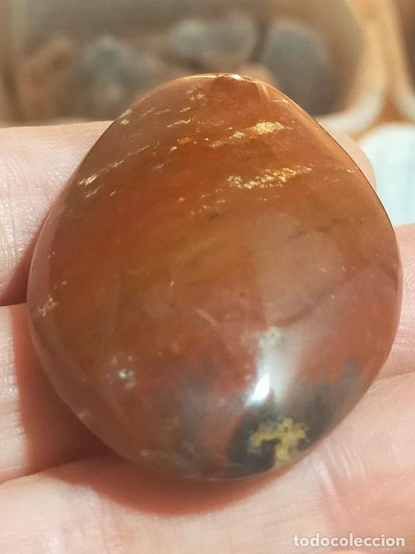 Gem collecting: Diaspro rosso (levigato)