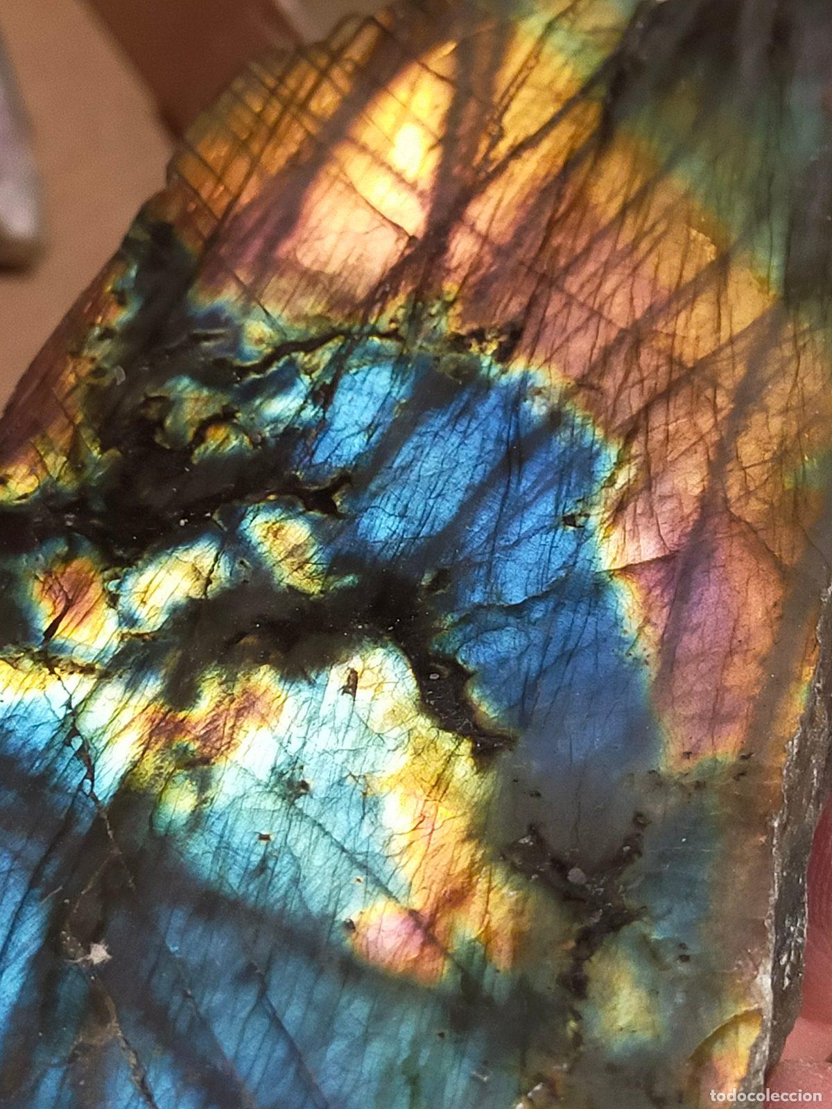 Coleccionismo de gemas: Labradorite Grezza Lucidata del Madagascar - Cristallo Olistico Multicolore