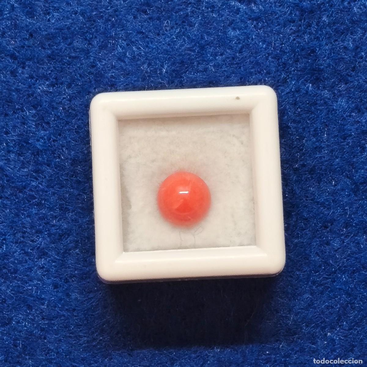 Collectionnisme de gemmes: CORAL BOLA MEDIO TALADRO. MED. 5,5 MM. PESO 1,29 CTS.