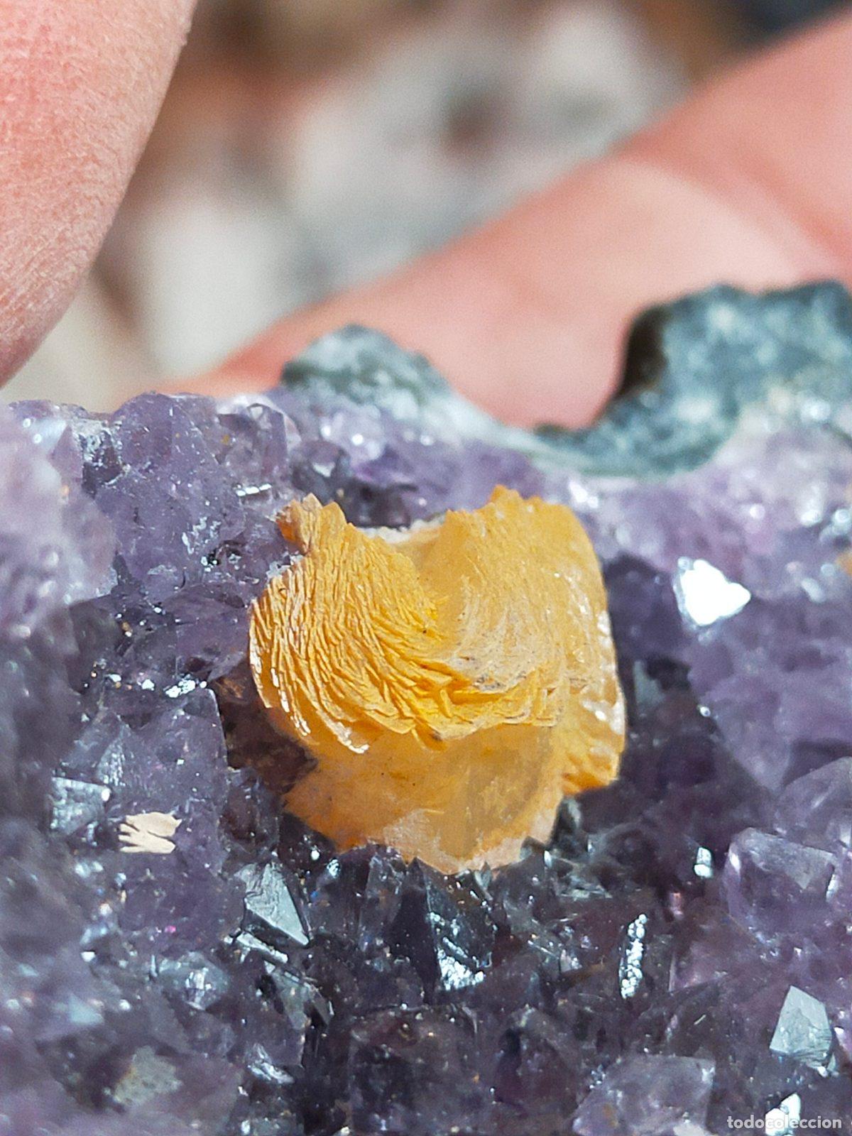 Coleccionismo de gemas: Ametista Naturale Viola e Giallo - Cristallo Olistico per Salotto e Studio