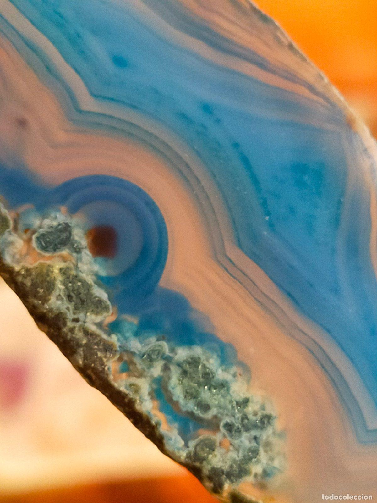 Coleccionismo de gemas: Fetta di Agata Blu Naturale - Cristallo da Collezione e Cristalloterapia 6cm