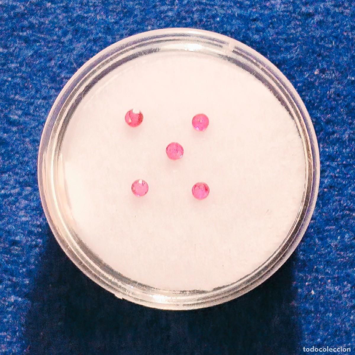 Collectionnisme de gemmes: 5 RUBIS BRILLANTE. MED. 1,7 MM. PESO 0,17 CTS. SIN TRATAMIENTO