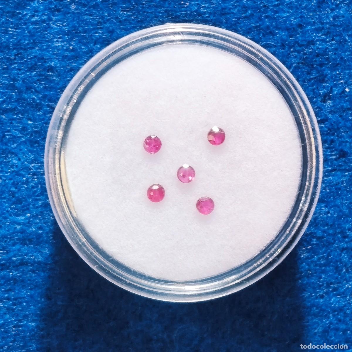 Collectionnisme de gemmes: 5 RUBIS BRILLANTE. MED. 1,7 MM. PESO 0,19 CTS. SIN TRATAMIENTO