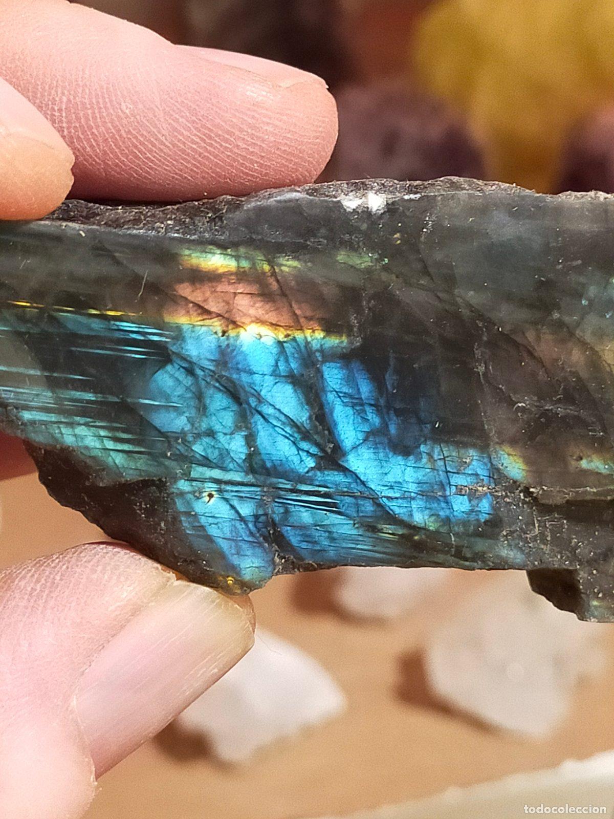 Coleccionismo de gemas: Labradorite Grezza Naturale - Pietra della Trasformazione con Riflessi Cangianti