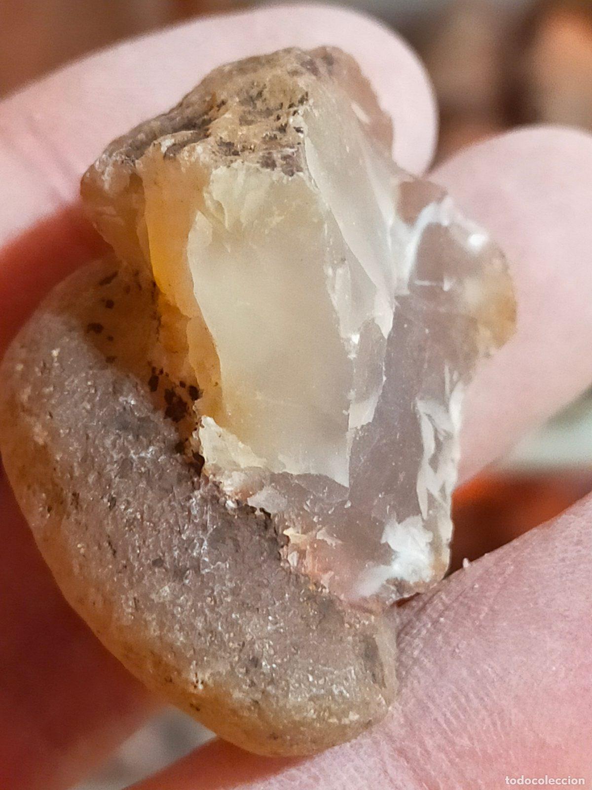 Coleccionismo de gemas: Pietra di Corniola Marrone Ambrato - Cristallo di Armonia e Luce