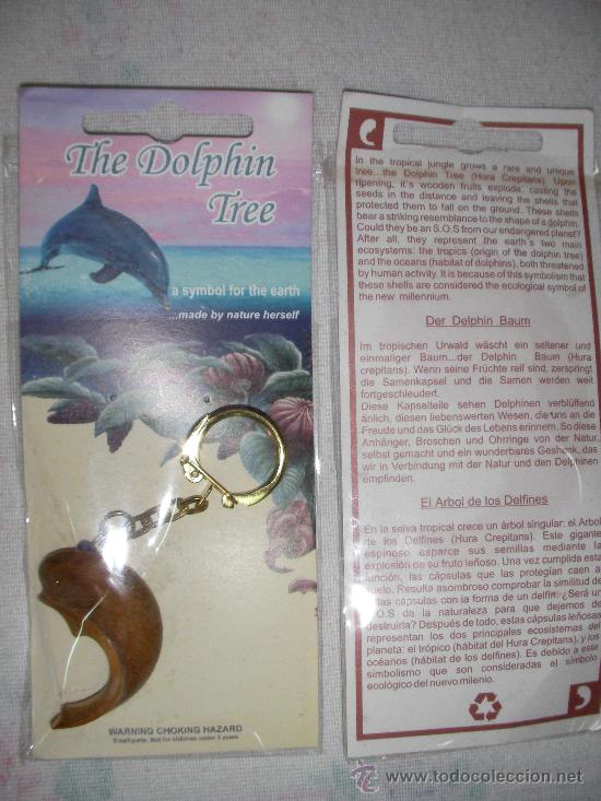 Collezionismo di Portachiavi: ANTIGUO BROCHE DELFIN (2.7) SEMILLA DEL ARBOL DE LOS DELFINES (HURA CREPITANS) EN SU BLISTER NUEVO