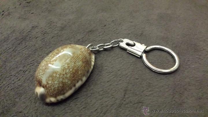 Collectionnisme de portes-cl&eacute;s: LLAVERO CON UNA CARACOLA DE MAR (OREJA MARINA)
