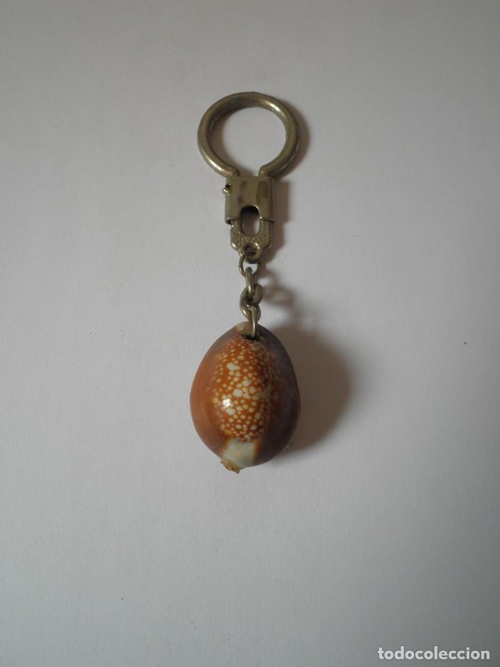 Collection of Keychains: LLAVERO ANTIGUO CARACOLA