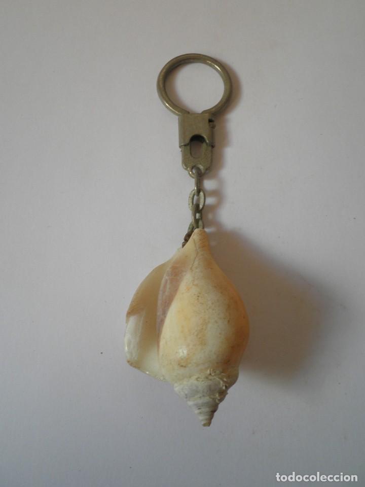 Collection of Keychains: LLAVERO CARACOLA
