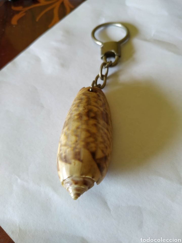 Collection of Keychains: Llavero Caracola