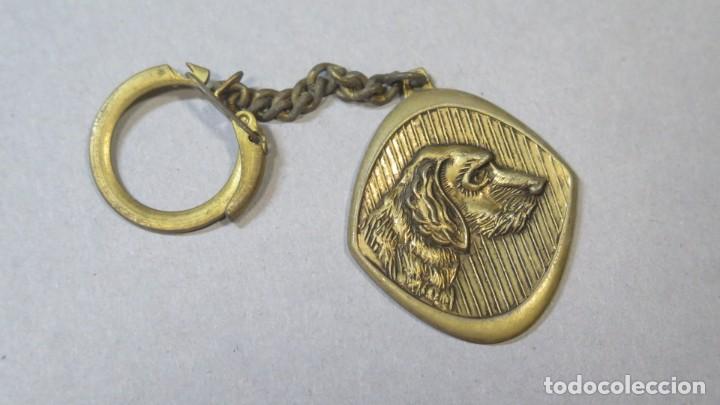 Collectionnisme de portes-cl&eacute;s: LLAVERO PERRO