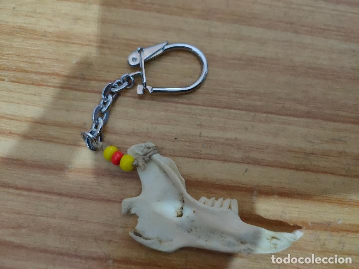 Coleccionismo de llaveros: Llavero con mand&iacute;bula de conejo - Foto 1