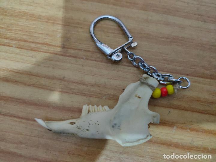 Coleccionismo de llaveros: Llavero con mand&iacute;bula de conejo - Foto 2
