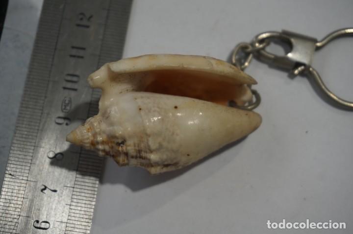Coleccionismo de llaveros: C29/ LLAVERO - CONCHA MARINA - Foto 2