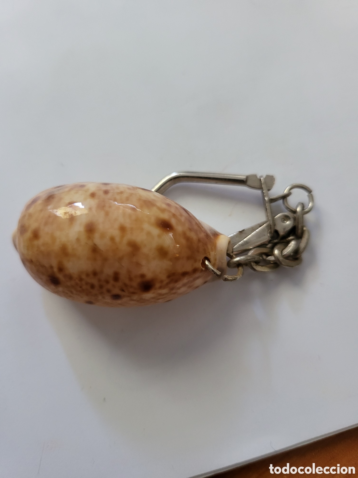 Collection of Keychains: Llavero Caracola cierre metalico
