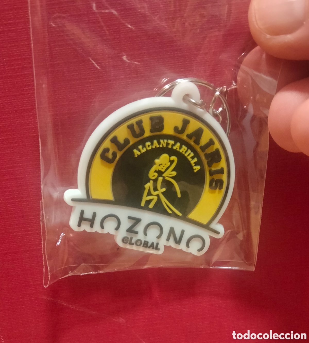 Collection of Keychains: Llavero del Hozono Global Jairis
