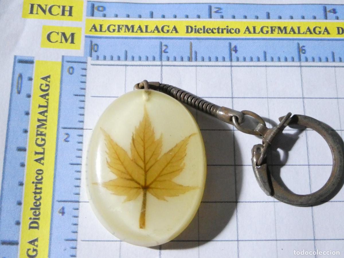 Coleccionismo de llaveros: LLAVERO CON HOJA &Aacute;RBOL DISECADA - Foto 1