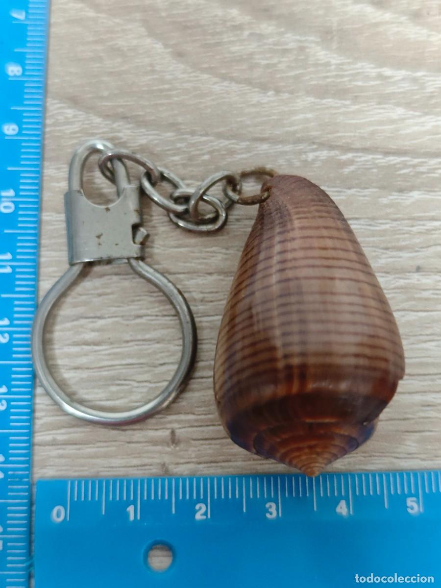 Coleccionismo de llaveros: LLAVERO CARACOLA DE NAR