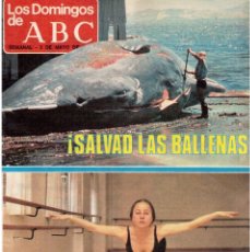 Coleccionismo de Los Domingos de ABC: 1981 ANTONIO MERCERO.MANUEL TORRE. ACADEMIAS DE DANZA.CARAVACA. VER FOTOGRAFÍAS.
