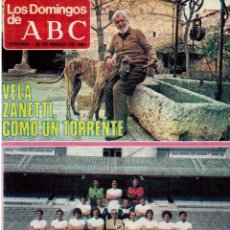 Coleccionismo de Los Domingos de ABC: 1981 VELA ZANETTI.REAL MADRID. IVÁN. JUAN MENDÍVIL. TAXIDERMIA. ENRIQUE BUERO. VER FOTOGRAFÍAS.