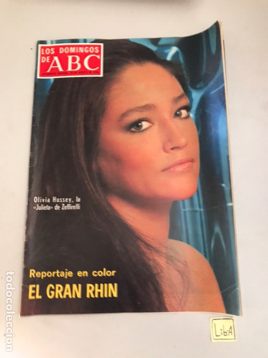 Coleccionismo de Los Domingos de ABC: ABC El gran RHIN - Foto 1