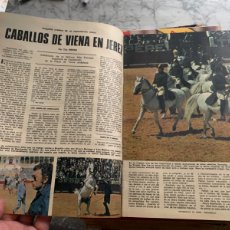 Coleccionismo de Los Domingos de ABC: LOS CABALLOS DE VIENA EN JEREZ POR TICO MEDINA 1975. Lote 365855966
