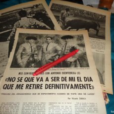 Coleccionismo de Los Domingos de ABC: RECORTE : MIS CONVERSACIONES CON ANTONIO BIENVENIDA. CAP II. DOMINGOS ABC, DCMBRE 1975. Lote 401043909