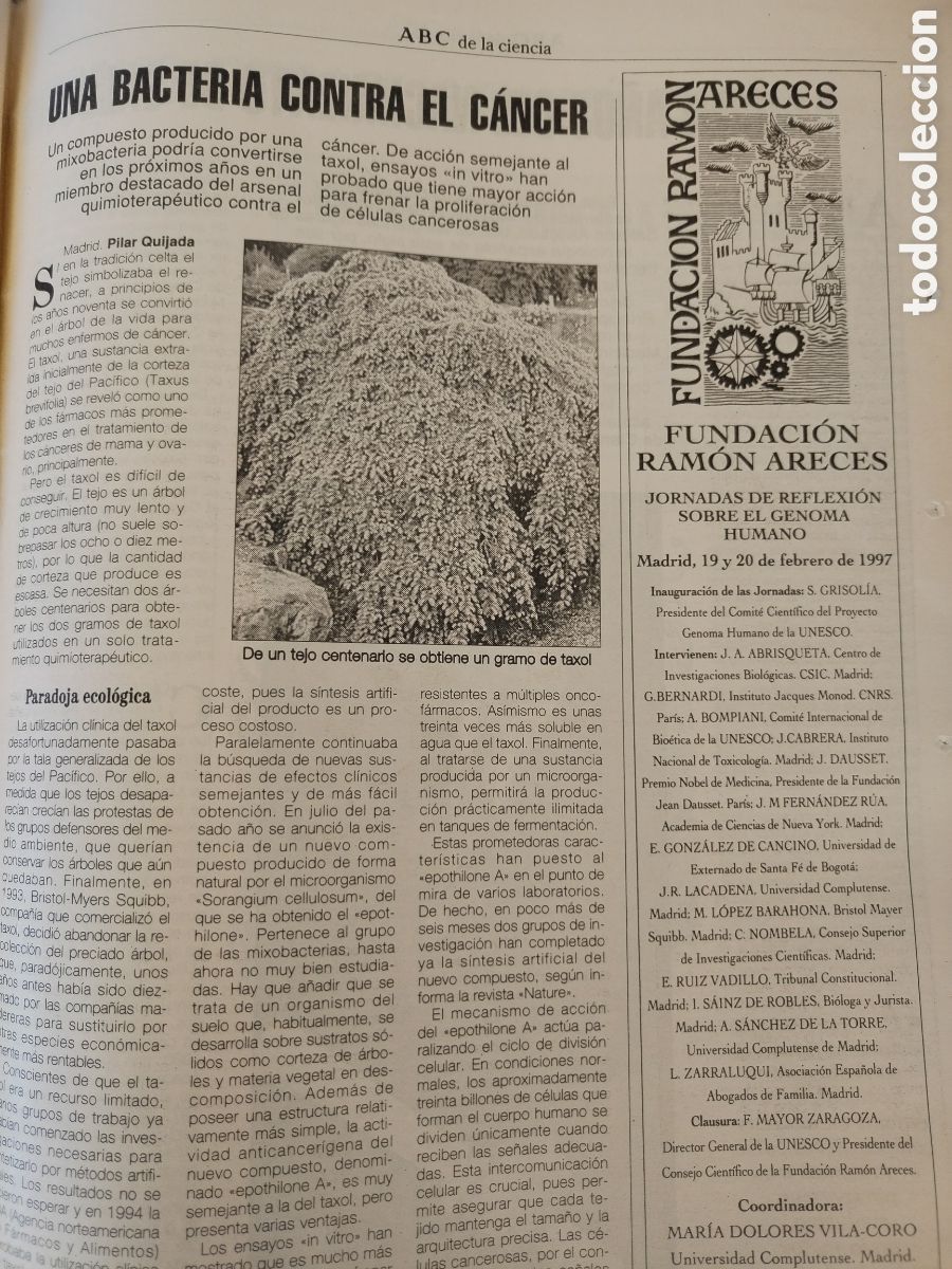 Coleccionismo de Los Domingos de ABC: A .B.C. cultural - Foto 3