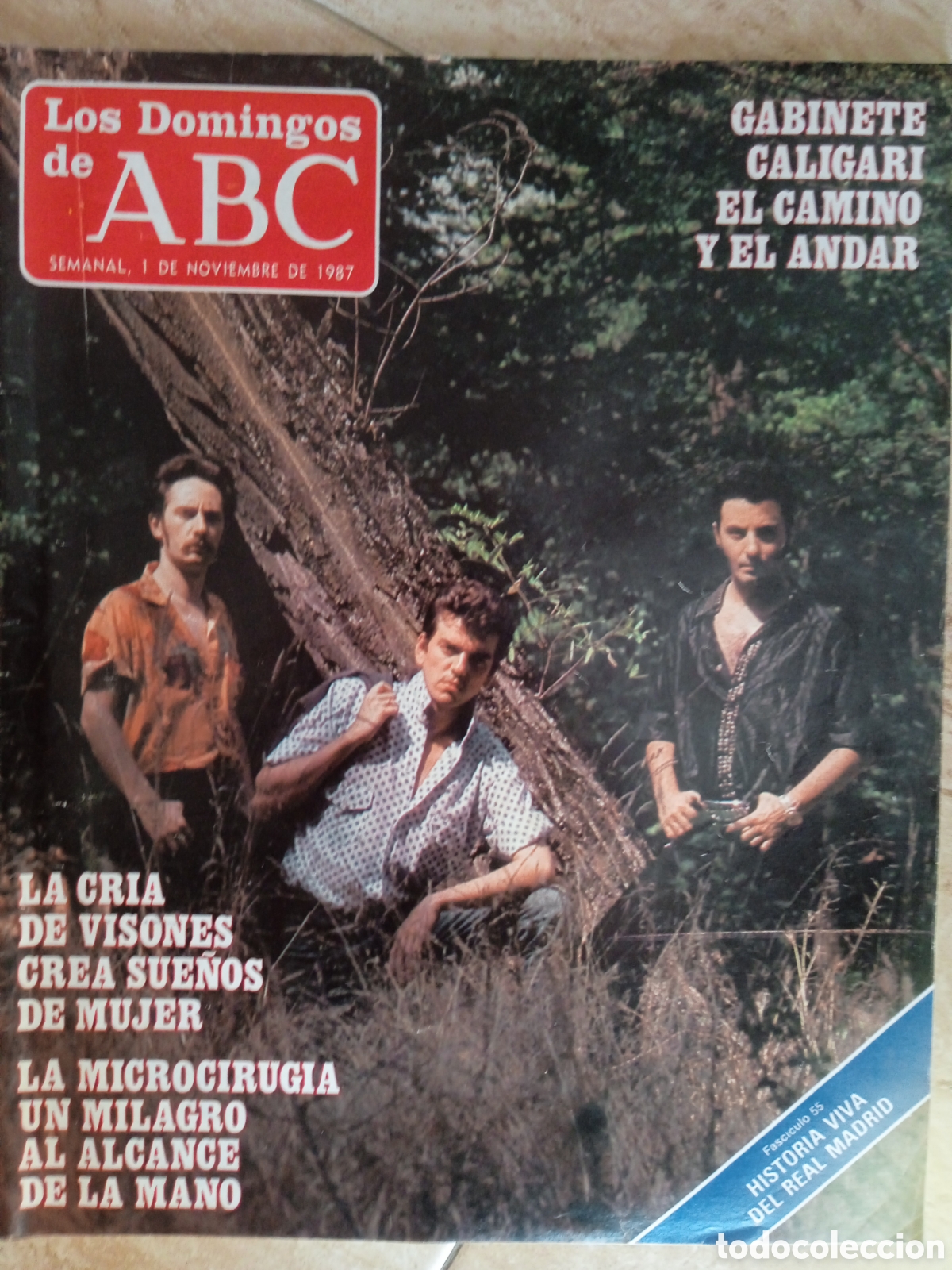 Collection Los Domingos de ABC: Los Domingos de ABC Gabinete Caligari Germ&aacute;n Coppini Rafael Herrando