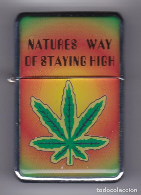 Mecheros: ENCENDEDOR TIPO ZIPPO DE UNA HOJA DE CANNABIS