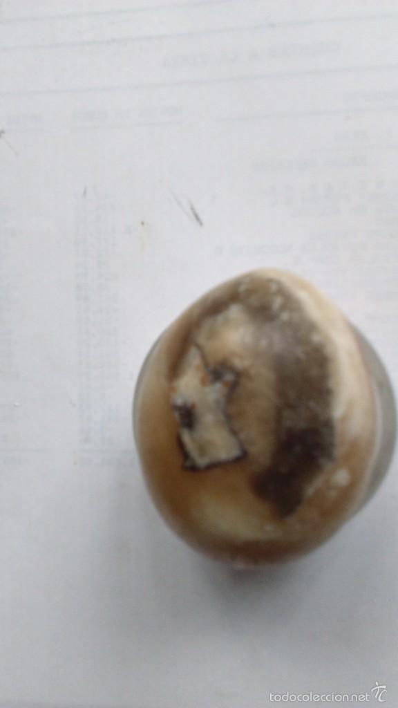 Coleccionismo de minerales: Huevo mineral - Foto 1