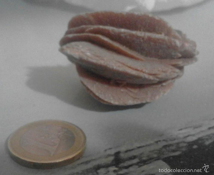 Coleccionismo de minerales: Rosa del desierto - Foto 2