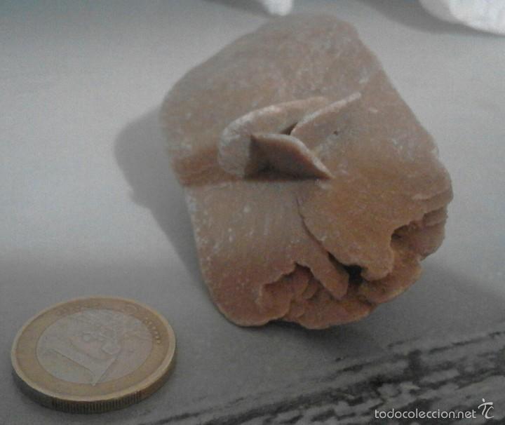 Coleccionismo de minerales: Rosa del desierto - Foto 1