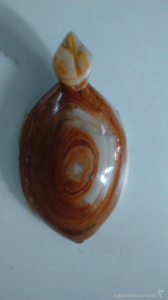 Coleccionismo de minerales: Tortuga de &aacute;gata - Foto 1