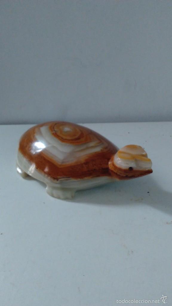 Coleccionismo de minerales: Tortuga de &aacute;gata - Foto 3