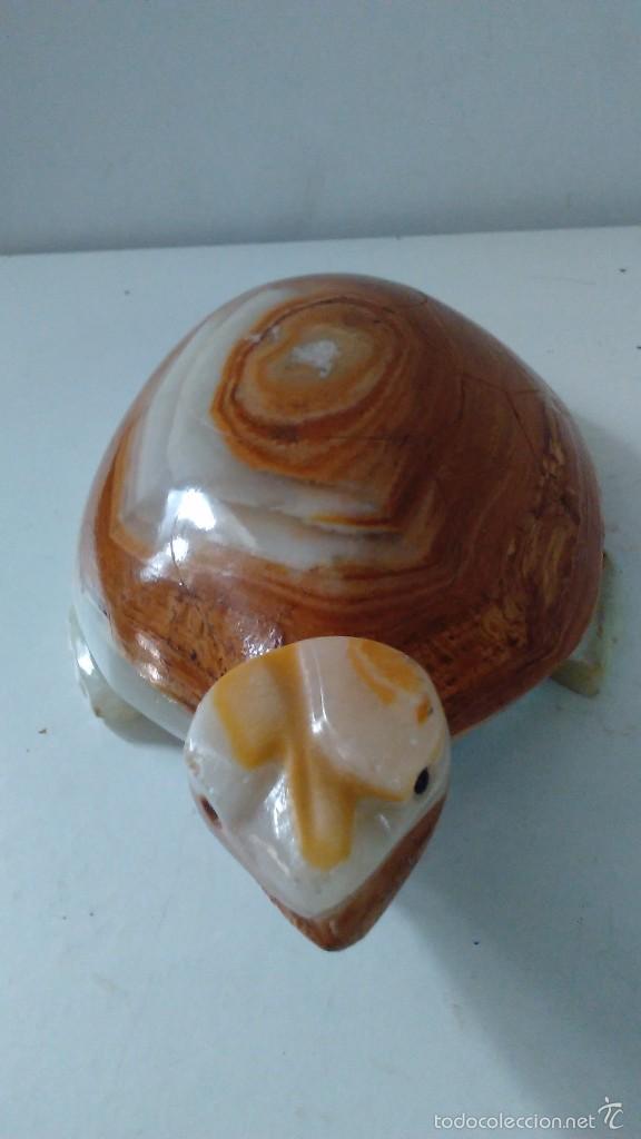 Coleccionismo de minerales: Tortuga de &aacute;gata - Foto 4