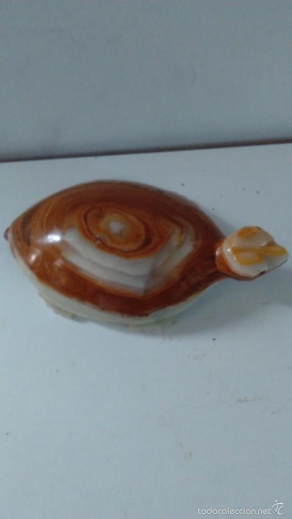 Coleccionismo de minerales: Tortuga de &aacute;gata - Foto 7