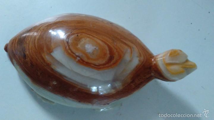 Coleccionismo de minerales: Tortuga de &aacute;gata - Foto 8